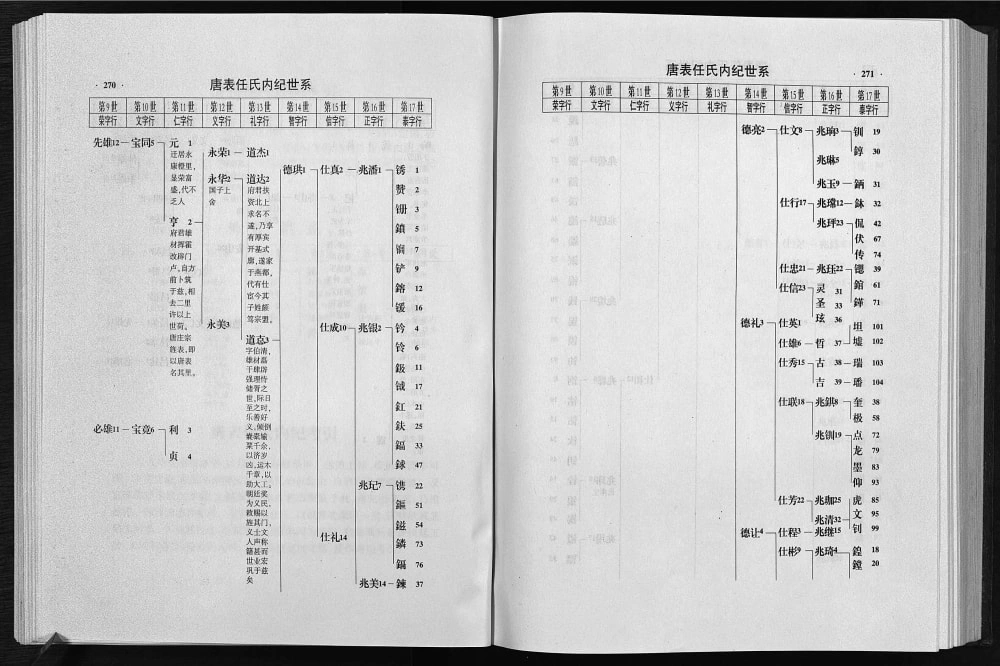 图片[6]-浙江东阳唐表任氏宗谱电子版PDF下载-中华家谱网