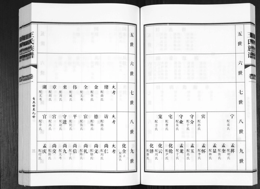图片[7]-山东青岛城阳区狗塔埠王氏族谱电子版PDF下载-中华家谱网