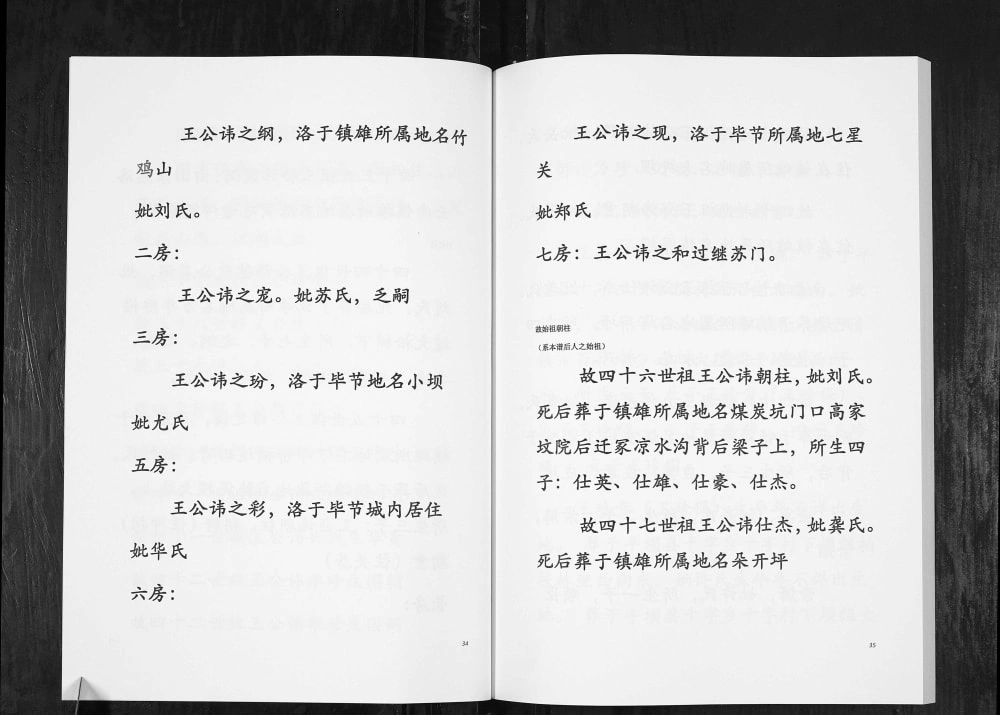 图片[7]-贵州毕节云南镇雄王氏族谱电子版PDF下载-中华家谱网