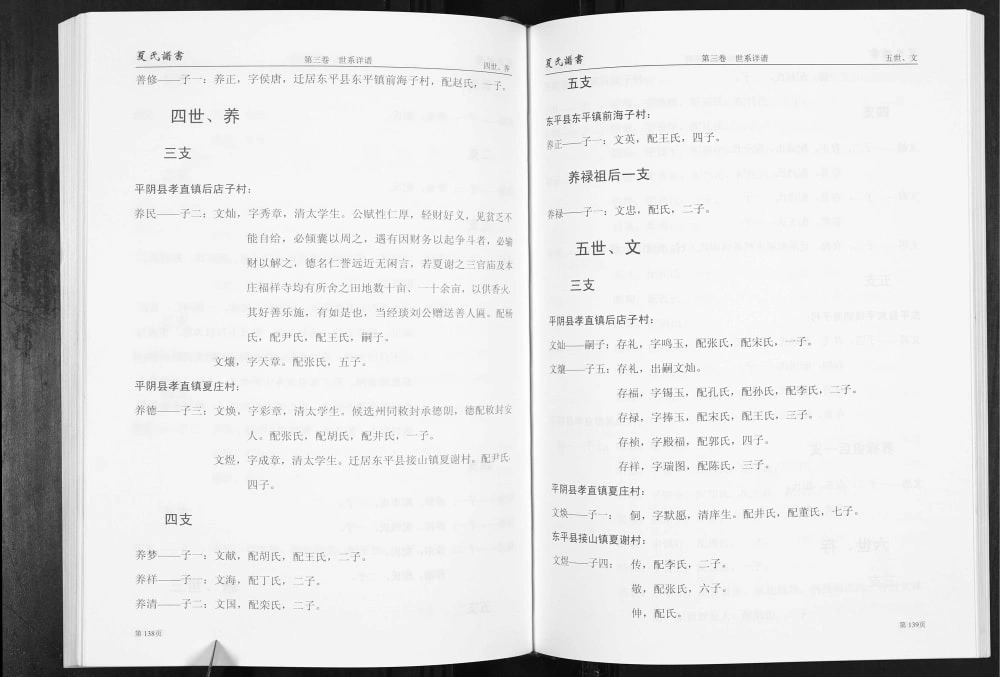 图片[5]-山东济南平阴店子夏氏谱书附家族纪事电子版PDF下载-中华家谱网