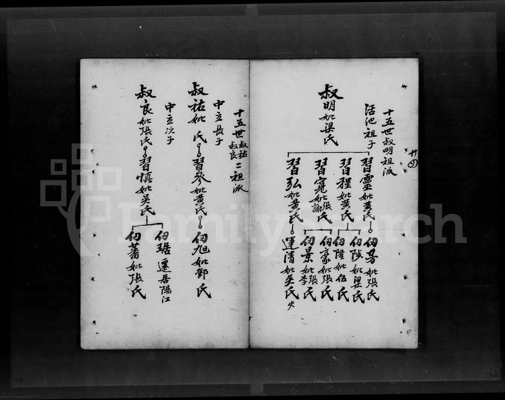 图片[8]-广东开平谭氏家谱电子版PDF下载-中华家谱网