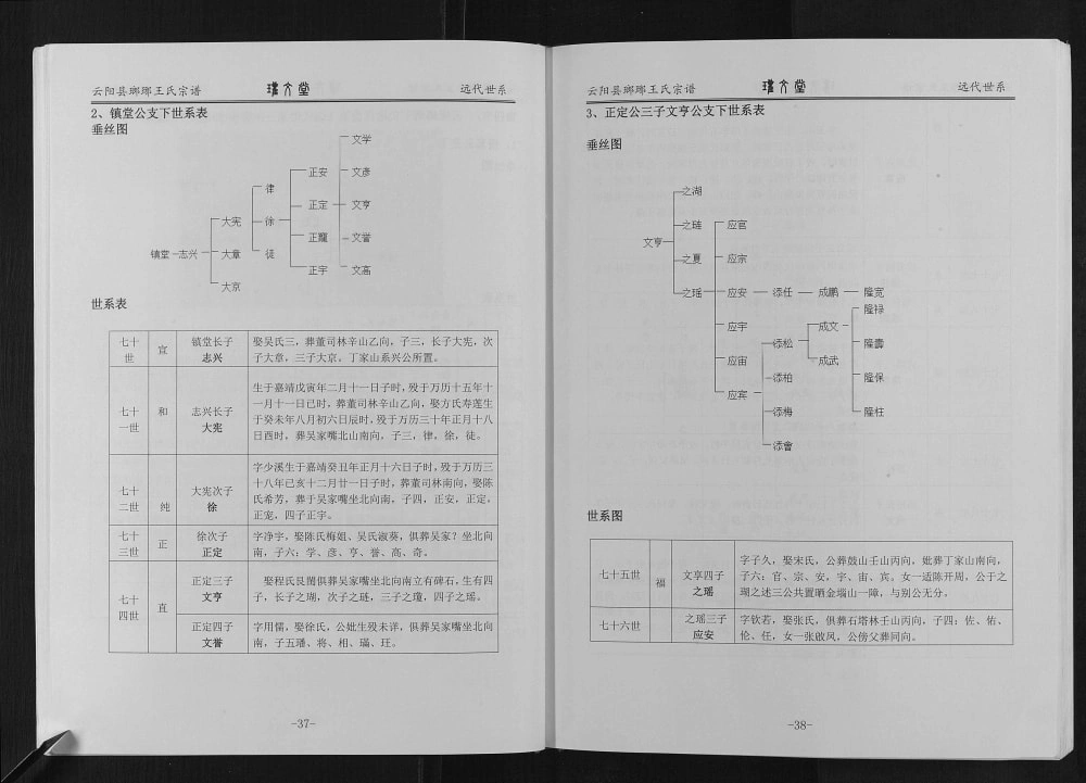 图片[4]-重庆云阳县琅琊王氏宗谱（瓘文堂）电子版PDF下载-中华家谱网