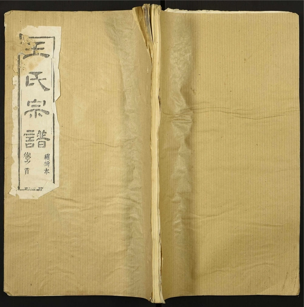 图片[1]-湖北武汉新洲区王氏宗谱（槐荫堂）电子版PDF下载-中华家谱网