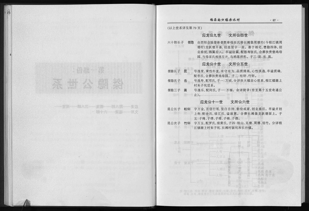 图片[6]-广东梅州梅县邹氏族谱 （六十朗公世系）电子版PDF下载-中华家谱网