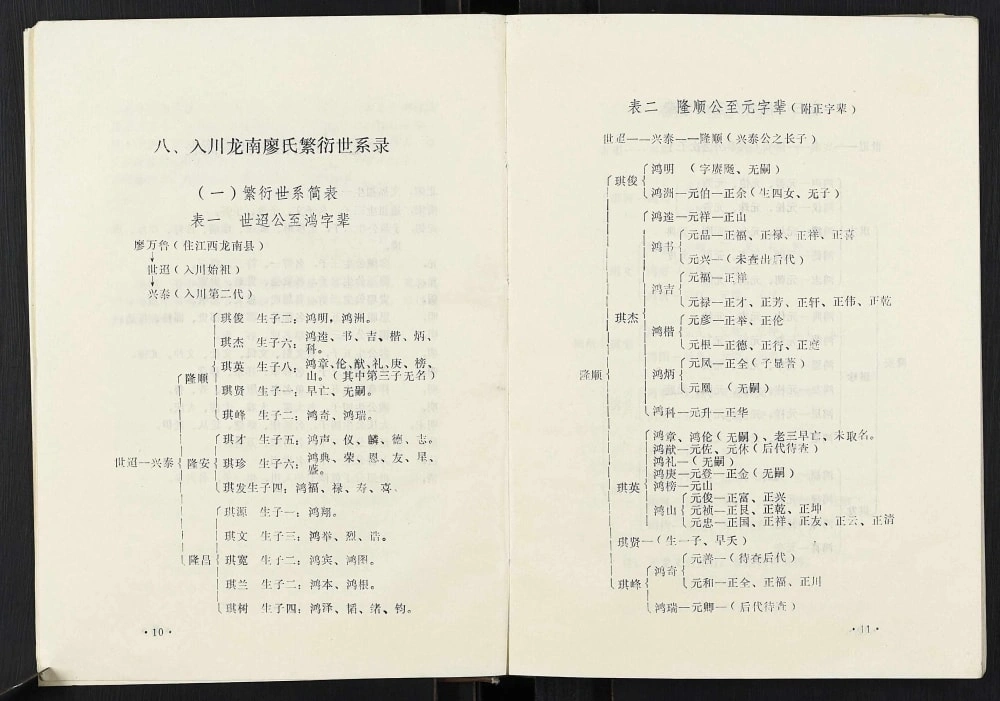 图片[4]-重庆云阳县廖氏族谱电子版PDF下载-中华家谱网