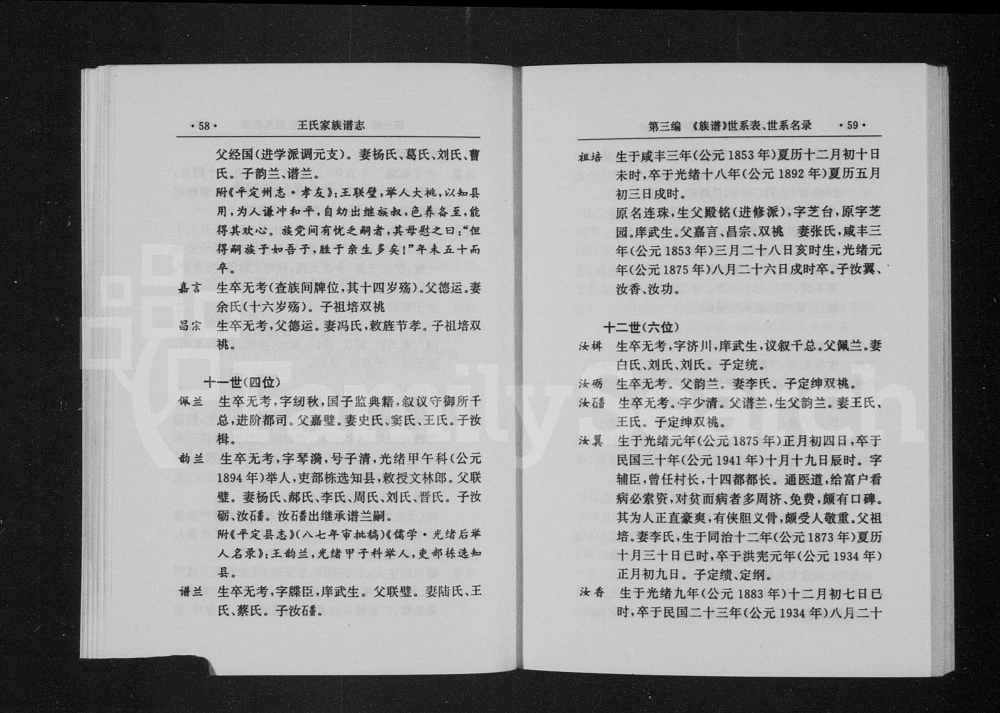 图片[8]-山西阳泉平定宋家庄王氏家族谱志电子版PDF下载-中华家谱网