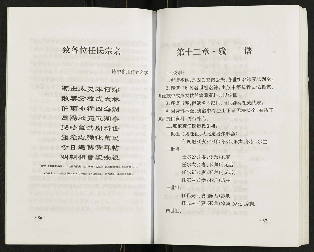 图片[4]-江苏盐城大丰区张麻套任氏家谱（五知堂）电子版PDF下载-中华家谱网