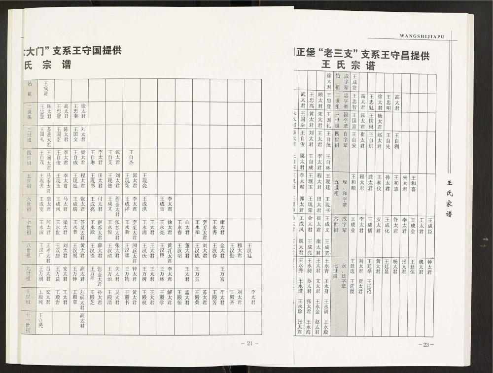 图片[5]-辽宁海城王氏家谱周正堡支系电子版PDF下载-中华家谱网