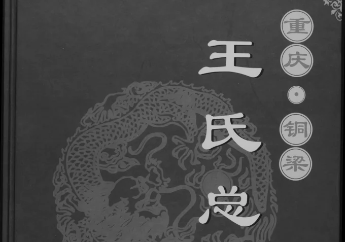 重庆铜梁区王氏总谱电子版PDF下载-中华家谱网
