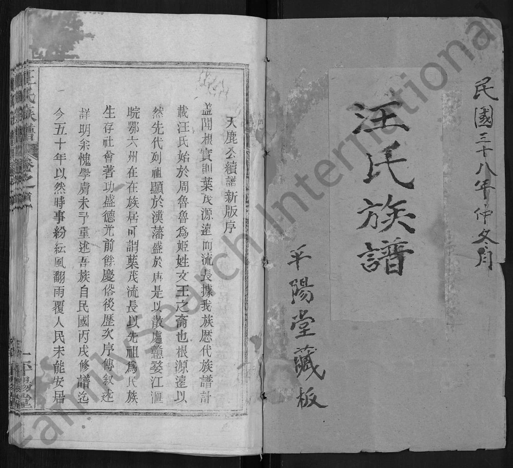图片[2]-湖北黄冈红安汪氏族谱（平阳堂）电子版PDF下载-中华家谱网