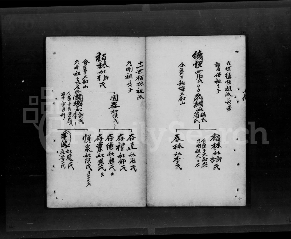 图片[3]-广东开平谭氏家谱电子版PDF下载-中华家谱网