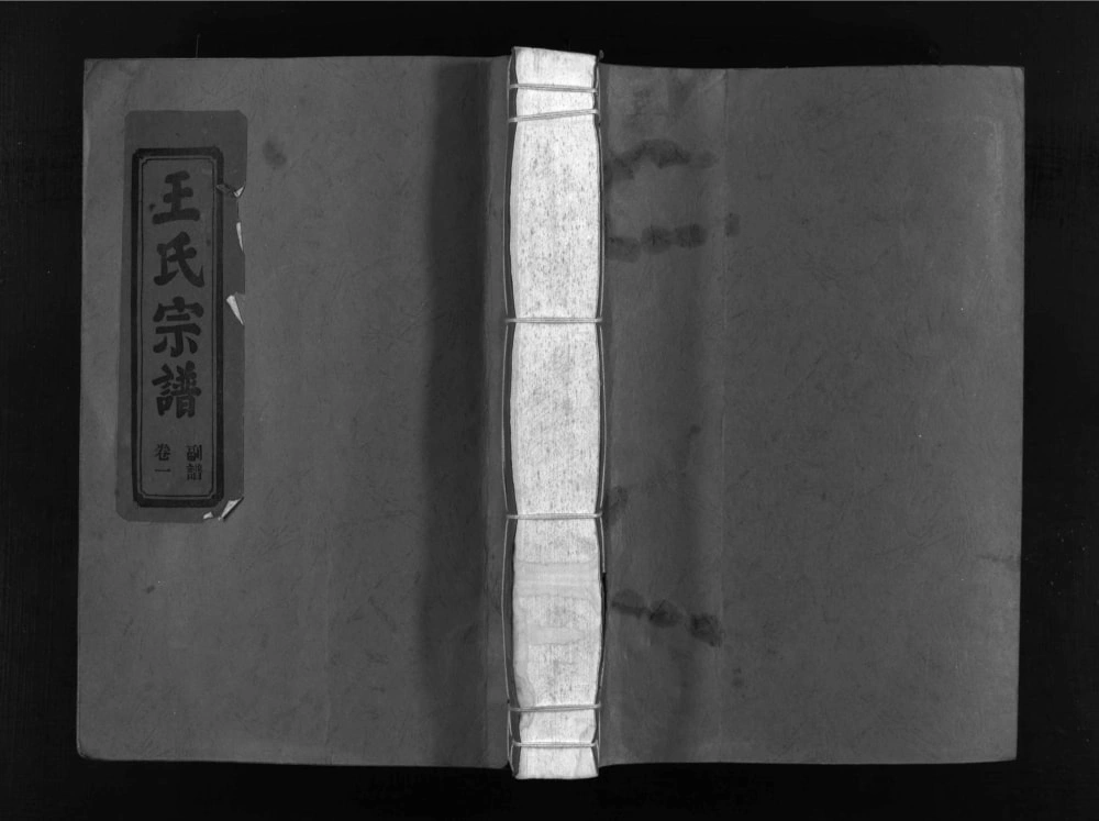 图片[1]-浙江乐清左原王氏宗谱电子版PDF下载-中华家谱网