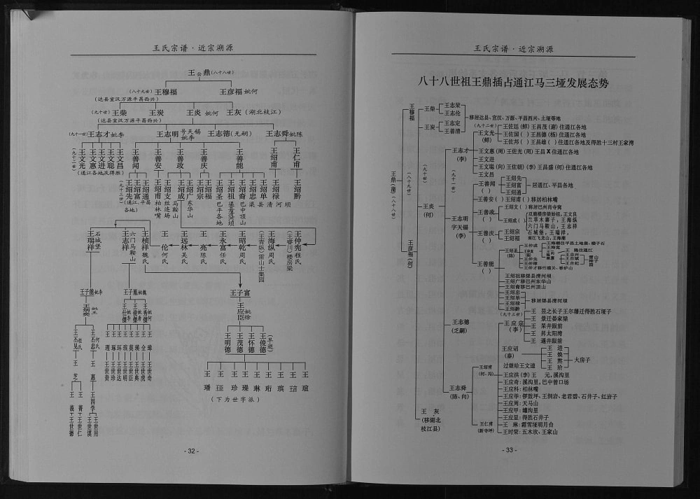 图片[5]-四川巴中平昌县木寨子王氏宗谱电子版PDF下载-中华家谱网