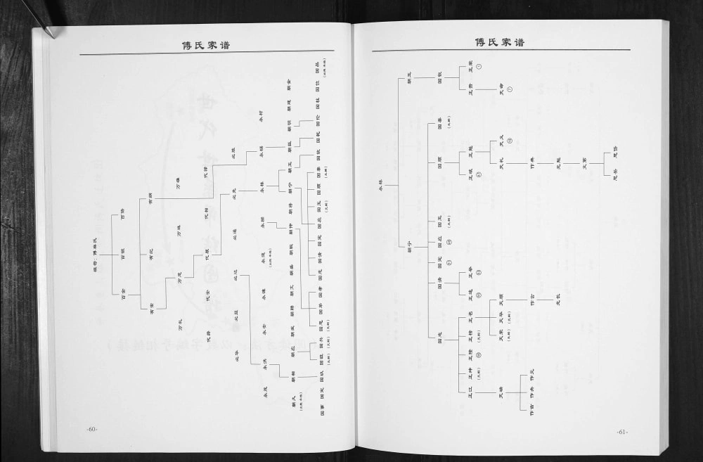 图片[4]-重庆开州区开县巫山镇三命祠傅氏家谱电子版PDF下载-中华家谱网