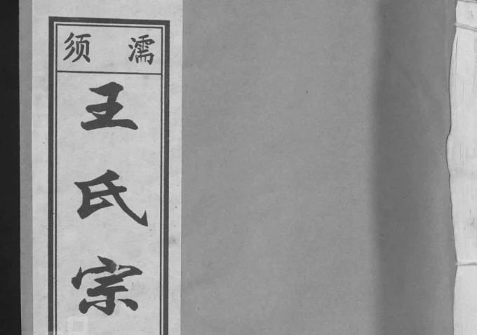 安徽无为濡须王氏宗谱电子版PDF下载-中华家谱网