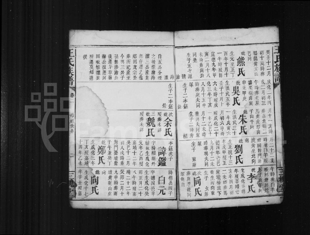 图片[6]-湖南湘乡王氏族谱（三槐堂）电子版PDF下载-中华家谱网