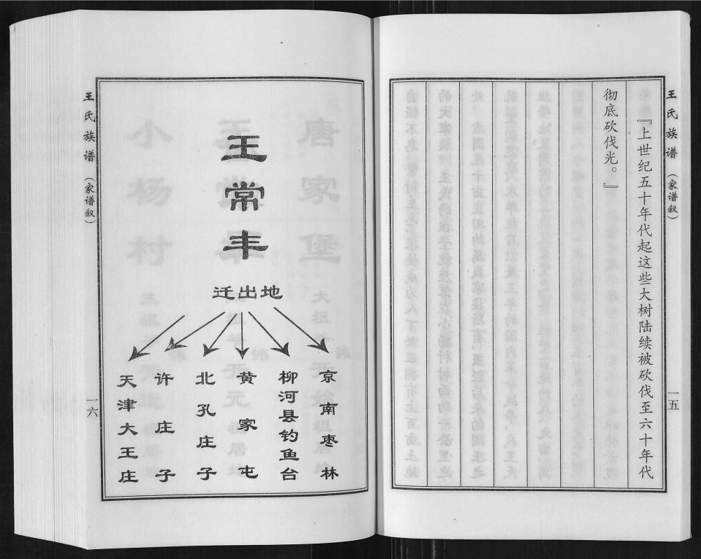 图片[4]-河北沧州盐山县唐家堡王常丰村王氏族谱电子版PDF下载-中华家谱网