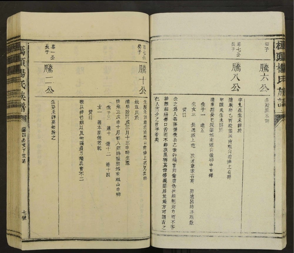 图片[4]-江西抚州东乡区桥头杨氏族谱电子版PDF下载-中华家谱网