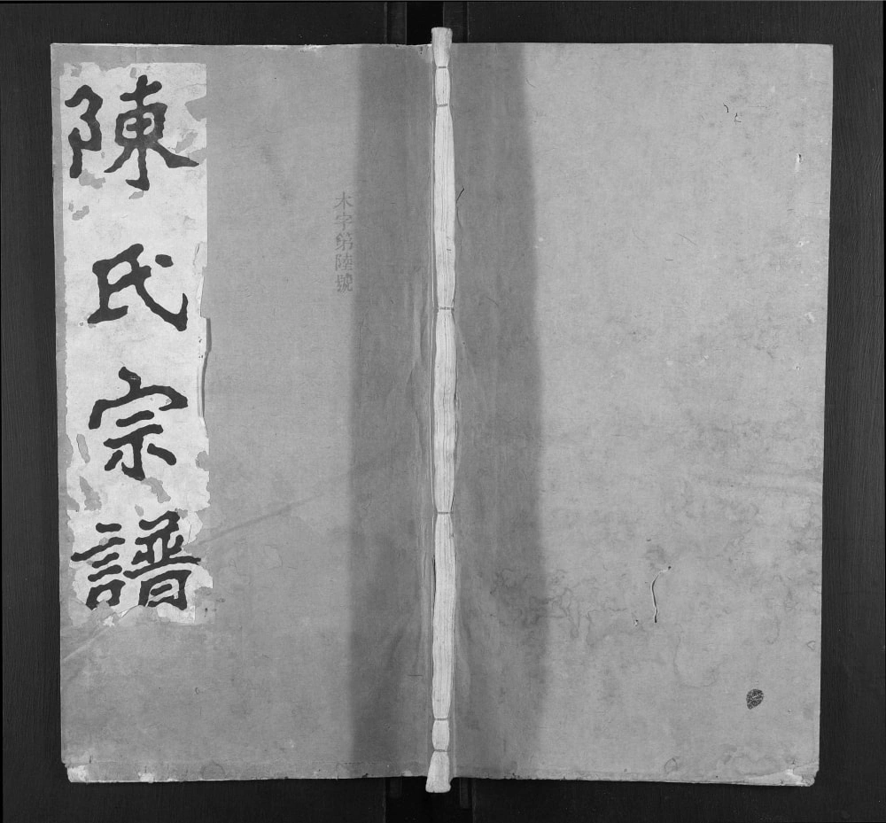 图片[1]-安徽池州石台县提壶陈氏宗谱电子版PDF下载-中华家谱网