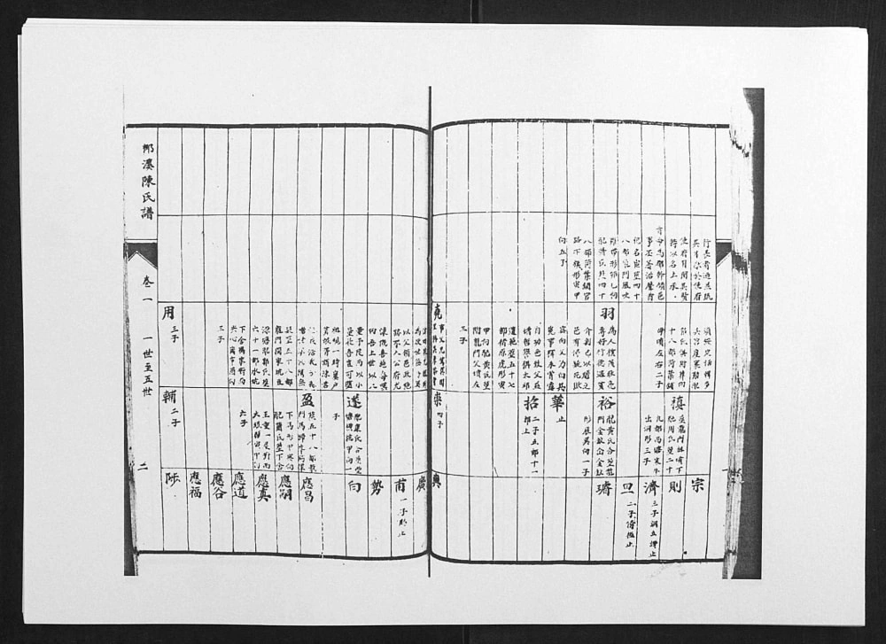 图片[4]-江西吉安泰和柳溪陈氏族谱电子版PDF下载-中华家谱网