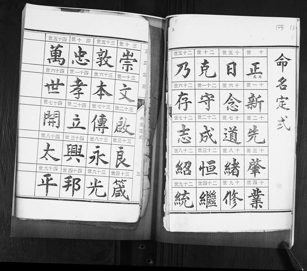 图片[3]-山东青岛即墨王氏族谱（永思堂）电子版PDF下载-中华家谱网
