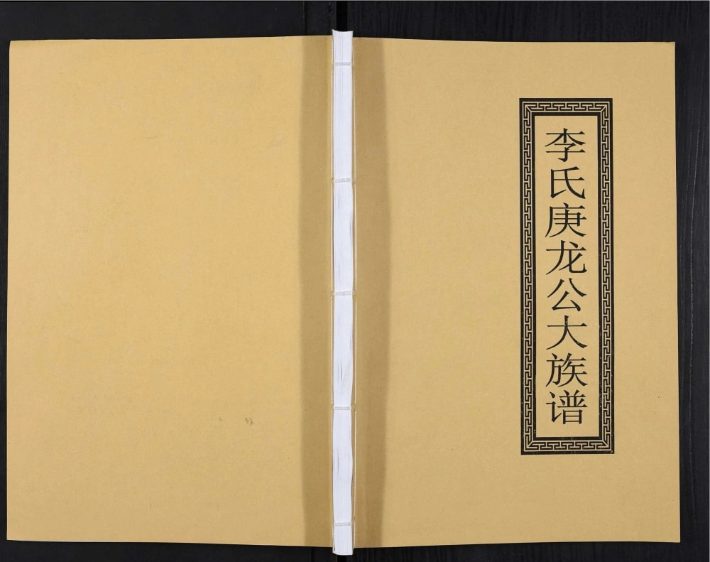 图片[1]-广东李氏庚龙公大族谱电子版PDF下载-中华家谱网