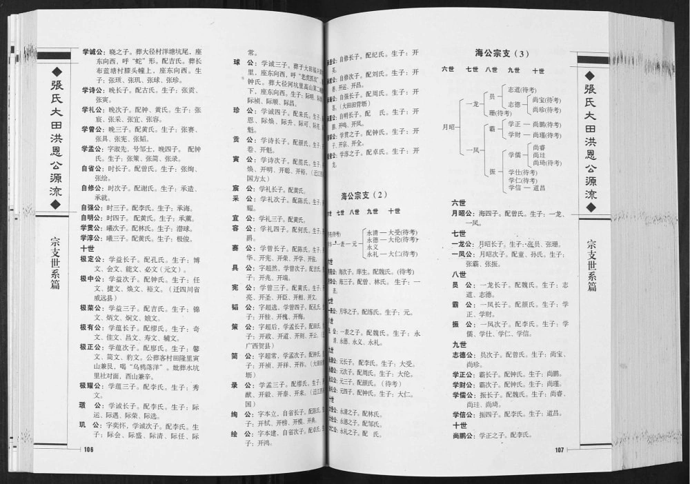 图片[7]-贵州毕节纳雍县张氏大田洪恩公源流电子版PDF下载-中华家谱网