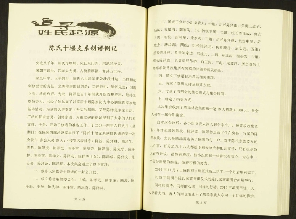图片[4]-湖北十堰陈氏家谱电子版PDF下载-中华家谱网