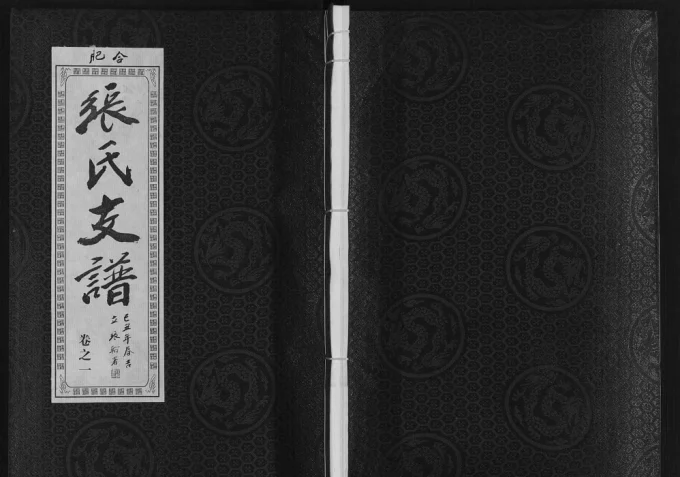 安徽肥东张氏“对河张”合肥支派宗谱(百忍堂)电子版PDF下载-中华家谱网