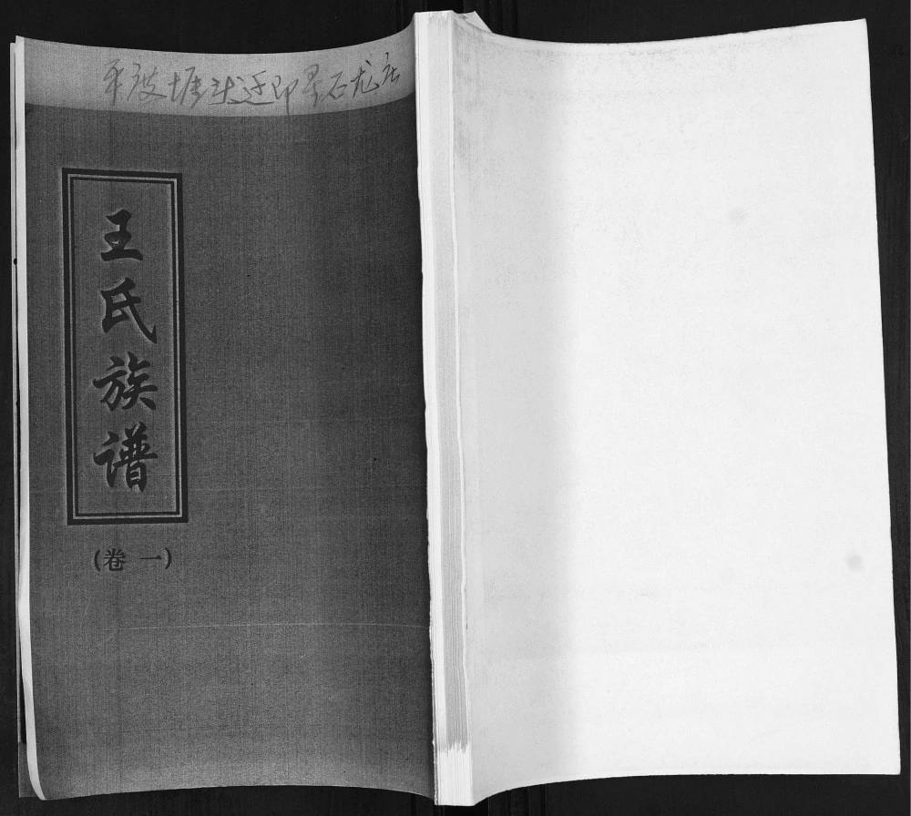 图片[1]-山东平度堐头王氏族谱电子版PDF下载-中华家谱网