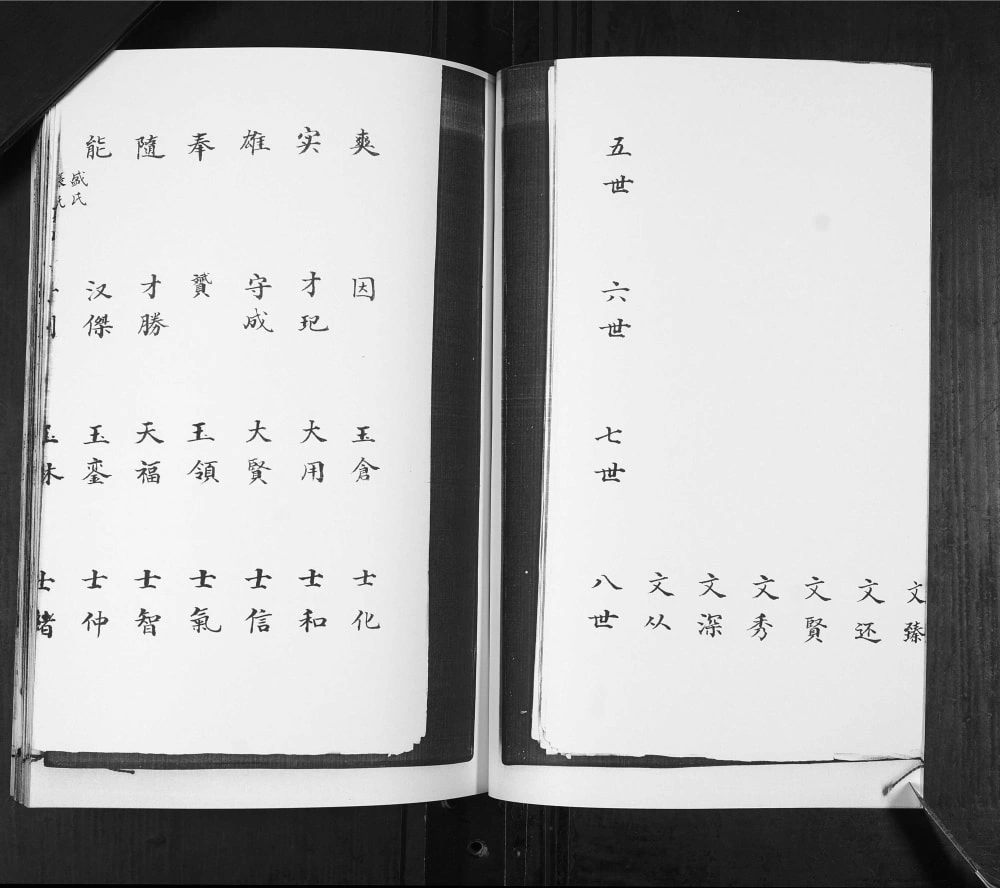 图片[5]-山东青岛即墨移风店古城李氏族谱电子版PDF下载-中华家谱网