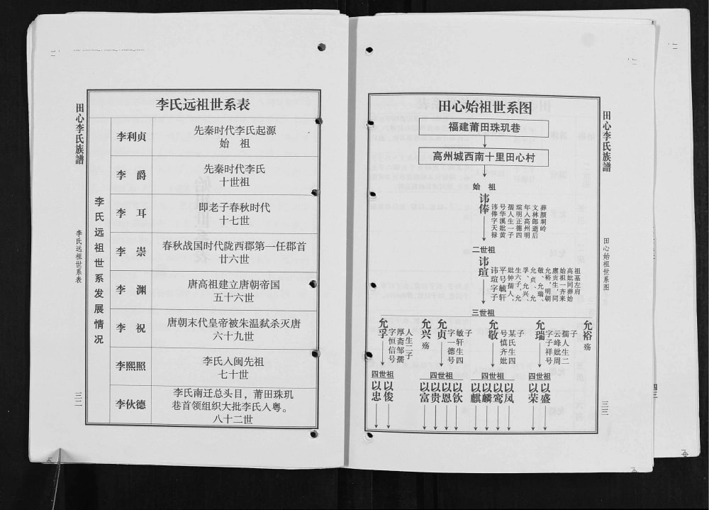图片[4]-广东高州陇西郡田心李氏族谱电子版PDF下载-中华家谱网