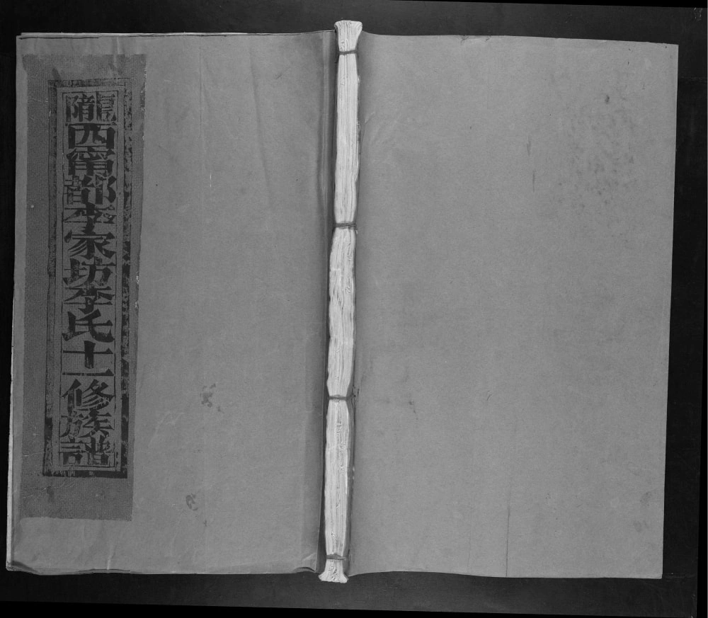 图片[1]-江西赣州宁都李家坊李氏十一修族谱电子版PDF下载-中华家谱网