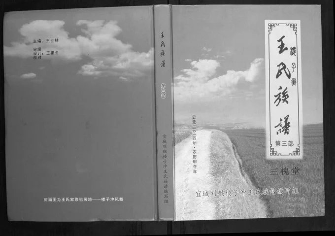 湖北宜城王氏族谱(三槐堂)电子版PDF下载-中华家谱网