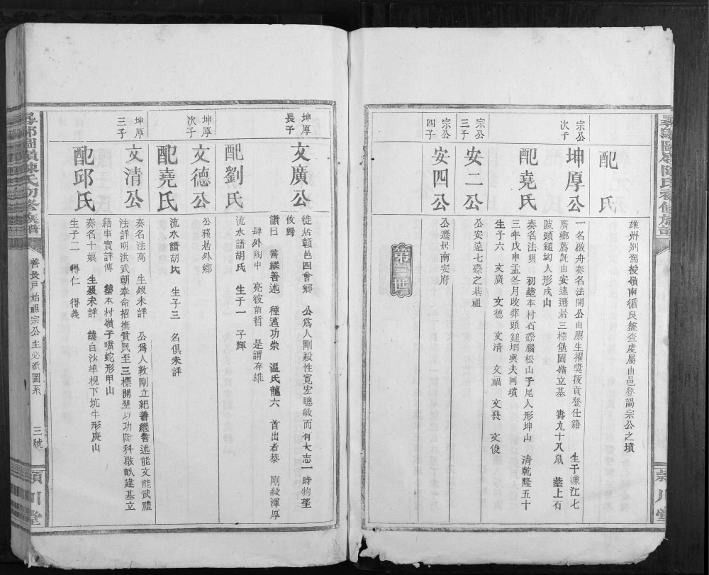 图片[7]-江西赣州寻乌县寻邬图岭陈氏初修族谱（颍川堂）电子版PDF下载-中华家谱网