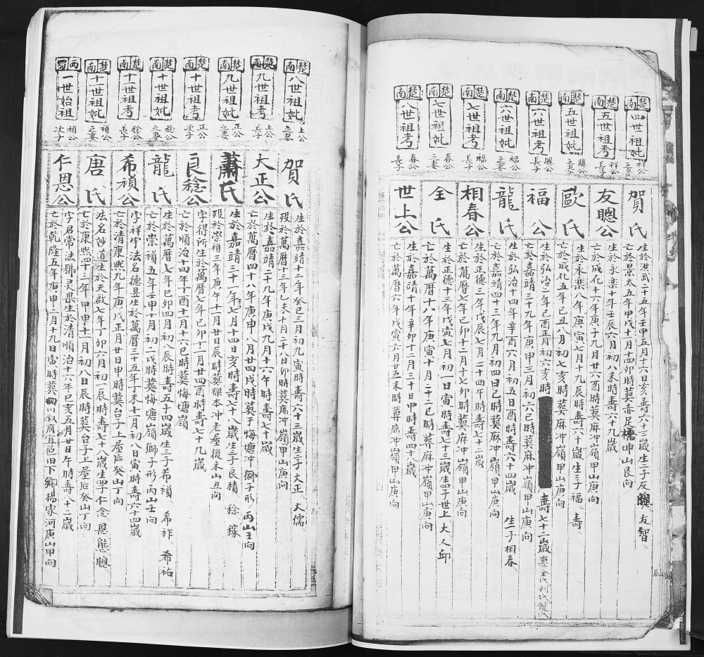 图片[4]-四川宜宾翠屏区张氏家谱湖南衡阳仁恩公入川分谱（清河堂）电子版PDF下载-中华家谱网