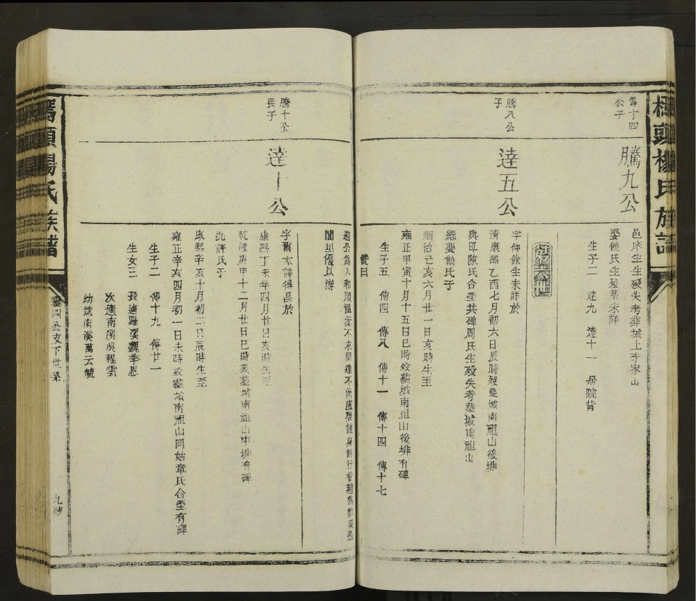 图片[6]-江西抚州东乡区桥头杨氏族谱电子版PDF下载-中华家谱网