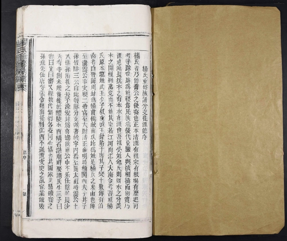 图片[2]-江西樟树杨氏重修族谱电子版PDF下载-中华家谱网