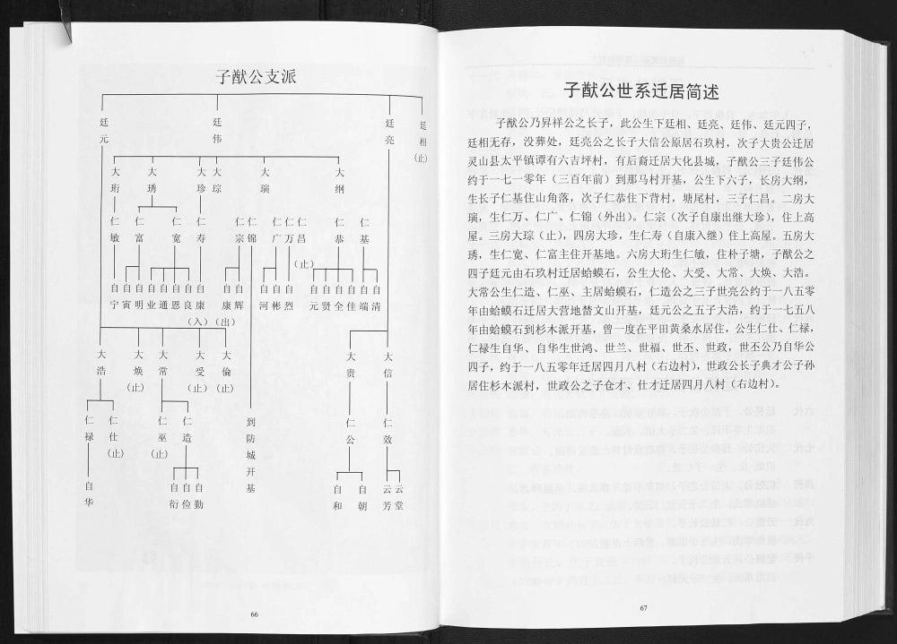 图片[6]-广西钦州灵山县硕玖张氏族谱电子版PDF下载-中华家谱网