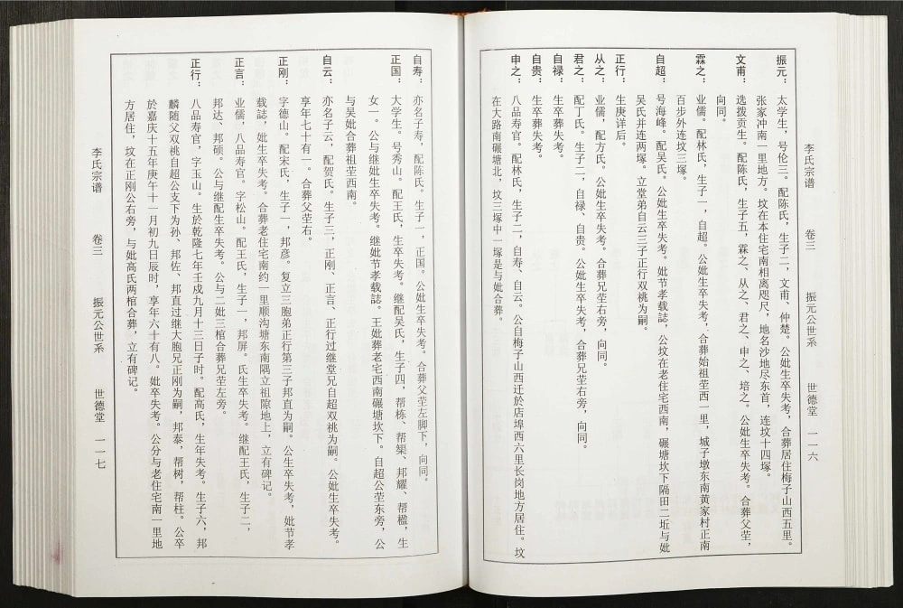 图片[6]-安徽合肥李氏尚龙公宗谱电子版PDF下载-中华家谱网