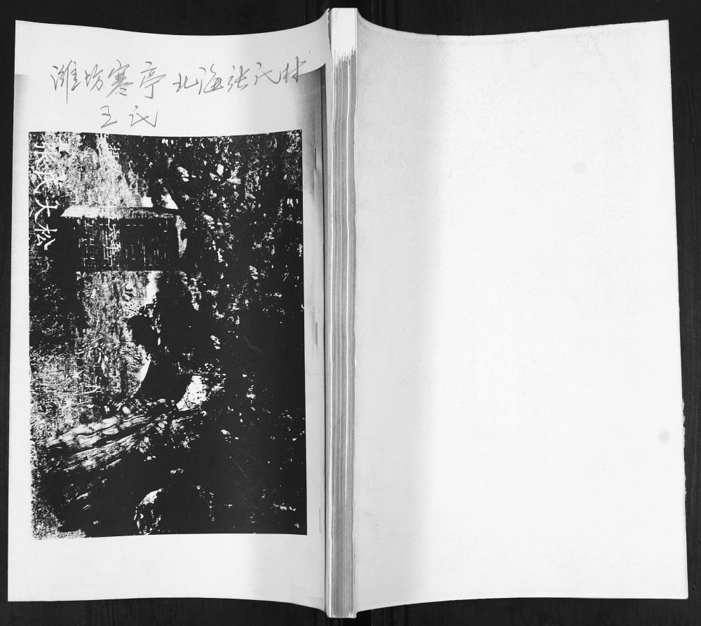 图片[1]-山东潍坊寒亭北海张氏村王氏族谱电子版PDF下载-中华家谱网