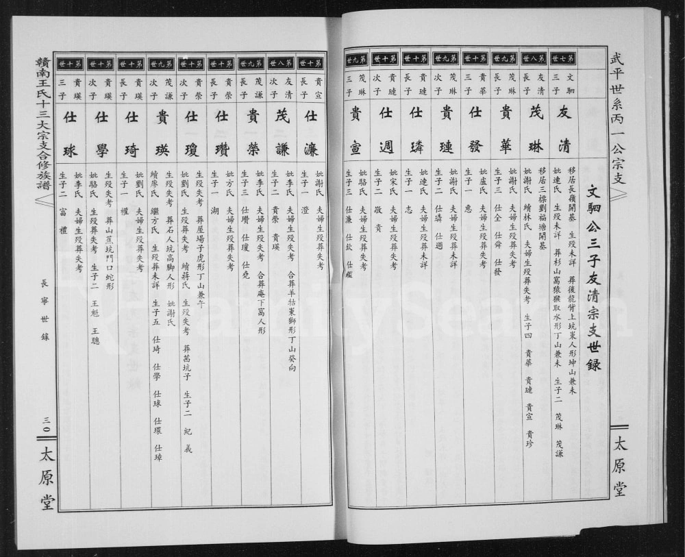 图片[6]-江西赣州南康区赣南王氏十三大宗支合修族谱（太原堂）电子版PDF下载-中华家谱网