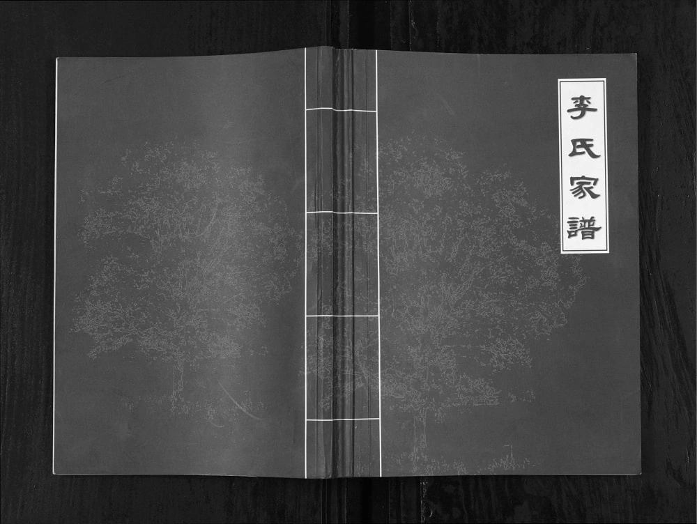 图片[1]-重庆忠县李氏家谱电子版PDF下载-中华家谱网