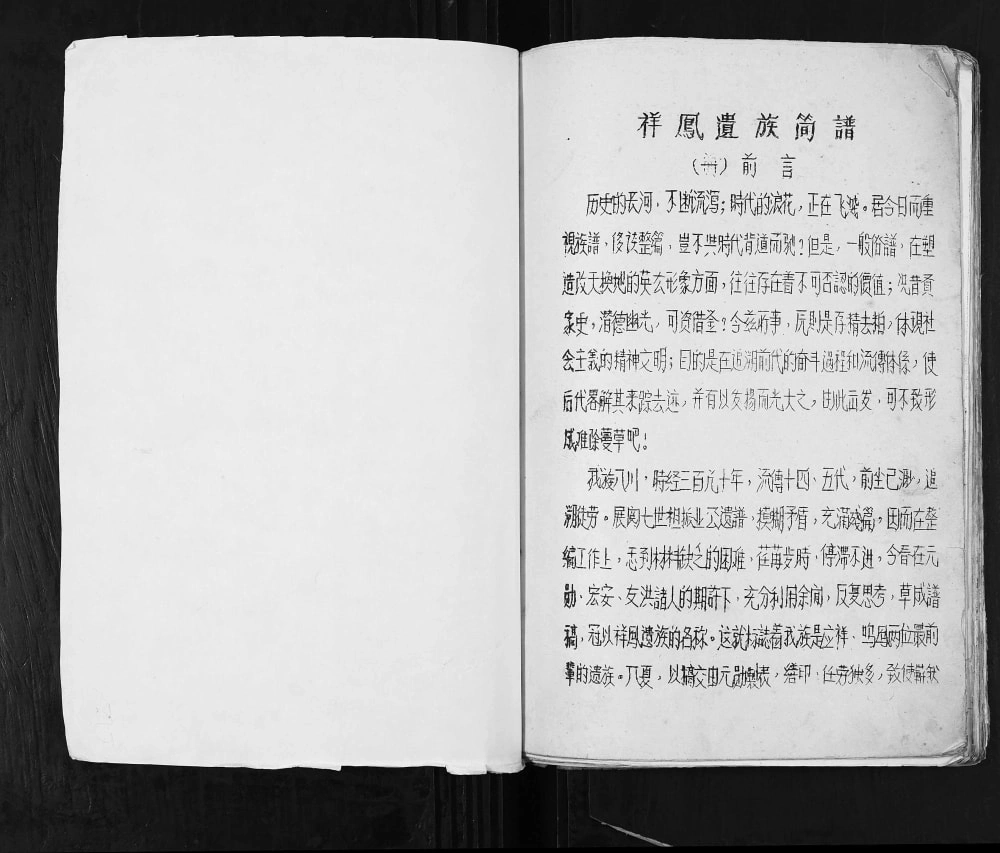 图片[2]-四川广安张氏家谱电子版PDF下载-中华家谱网