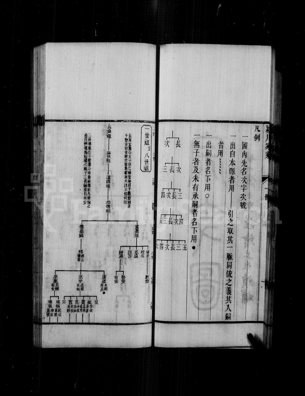 图片[3]-广东佛山顺德区马齐陈氏族谱（崇本堂）电子版PDF下载-中华家谱网
