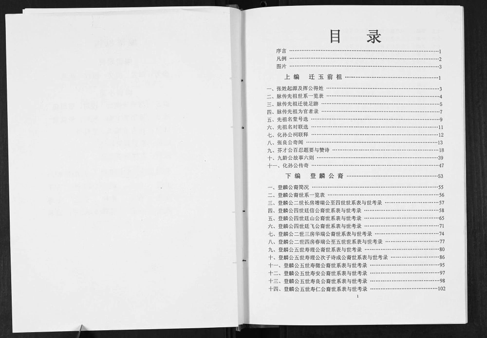 图片[3]-广西玉林张氏登麟公家谱电子版PDF下载-中华家谱网