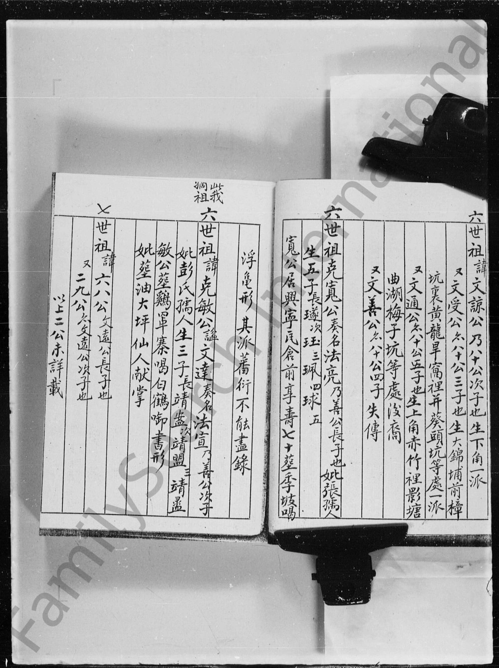 图片[8]-香港青衣洲陈氏族谱电子版PDF下载-中华家谱网