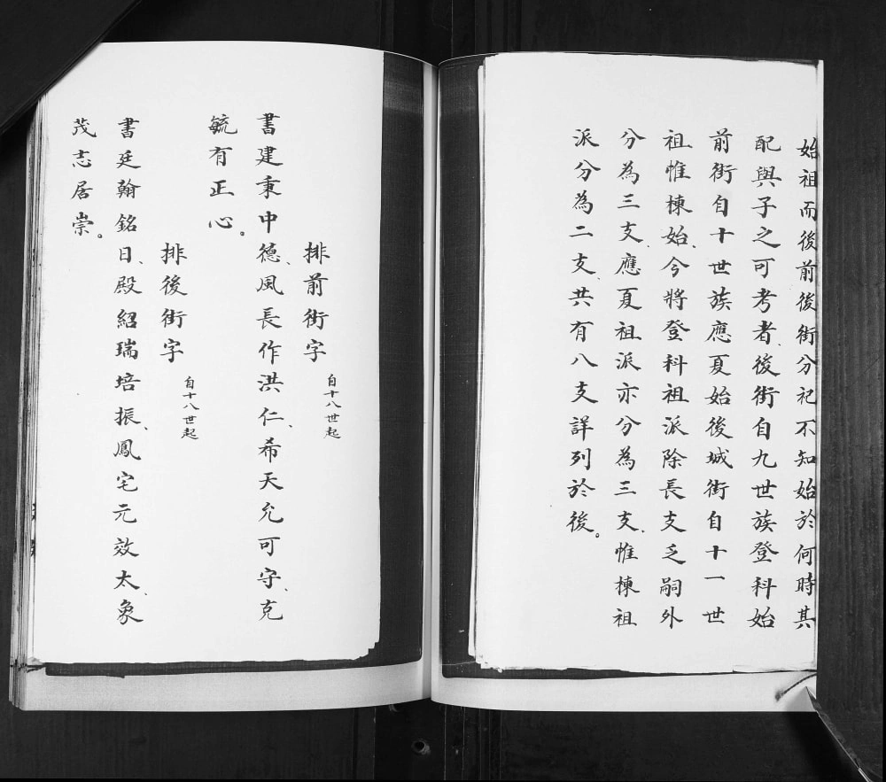 图片[3]-山东青岛即墨移风店古城李氏族谱电子版PDF下载-中华家谱网