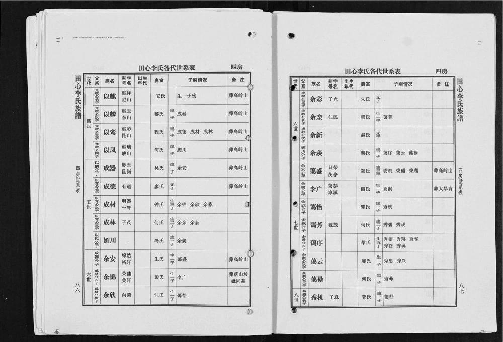 图片[8]-广东高州陇西郡田心李氏族谱电子版PDF下载-中华家谱网