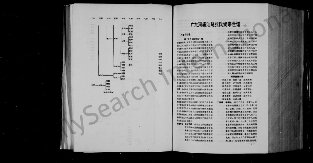 图片[5]-广东河婆汕尾张氏统宗世谱电子版PDF下载-中华家谱网